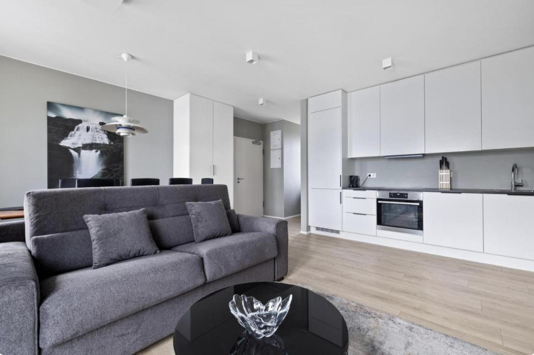 Cheerful Down Town Apartment Reykjavik Extérieur photo